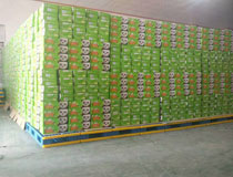 大型百貨倉(cāng)庫(kù)倉(cāng)儲(chǔ)防潮墊板+貨物搬運(yùn)叉車(chē)托盤(pán) 自由定制尺寸組合式托盤(pán)