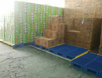 貨物倉(cāng)儲(chǔ)墊倉(cāng)板 聯(lián)鎖式倉(cāng)庫(kù)托盤(pán)墊板 鎖扣式倉(cāng)庫(kù)墊倉(cāng)板 大面整體鋪設(shè)